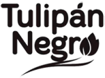 Tulipan Negro