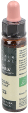 Walnut Plantis No. 33 10 ml