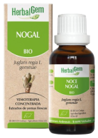 Nogal Macerado Glicerinado 50 ml