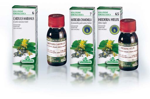 Ruscus aculeatus 50Ml 24 Tm. AgBio