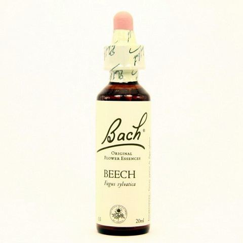 Original Flower Essences Bach 3 Beech 20 ml