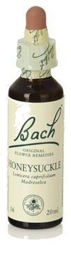 Original Flower Essences Bach 16 Honeysuckle 20 ml