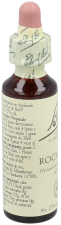 Bach 26 Heliantem or Jar 20 ml