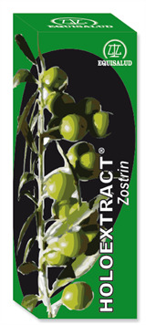 Equisalud Zostrin Holoextract 31 ml