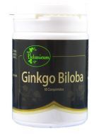 Ginkgo Biloba 60 &delta;&iota;&sigma;&kappa;ί&alpha;
