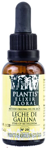 Plantis 29 Star Or Bethlehem 30 ml