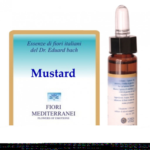 Fm 21 Mustard 10 ml