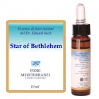 Fm 29 Star Of Bethlehem 10Ml