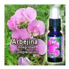 Triunity essence of Arbejina