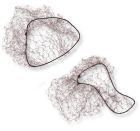 Gray Mo&ntilde;o Net