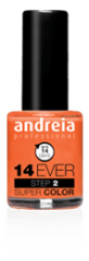 Nail Polish 14 Ever