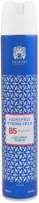 Strong spray lacquer 500 ml