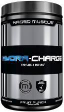 HydraCharge Fruit Punch 282 g