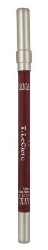 Lip Pencil 08 Envie