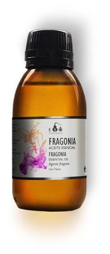 Terpenic Lab Fragonia Essential Oil 30 ml