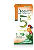 Aloe 5X Antiox 14 Envelopes