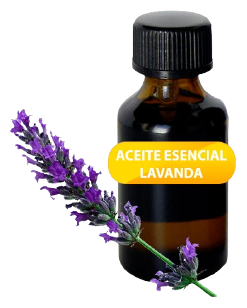 Lavender Essential Oil