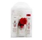 Keiras colored hair kit Shampoo + Mask + Serum + Essence