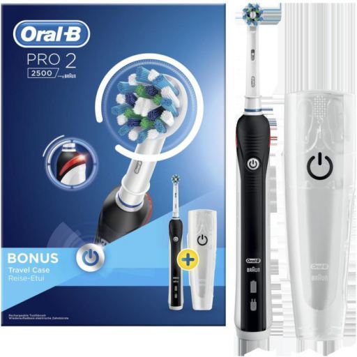 Pro 2500 Electric Brush