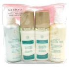 Oily Skin Basic Kit