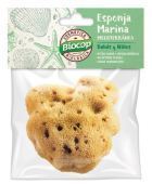 &Pi;&alpha;&iota;&delta;&iota;ά &mu;&epsilon;&sigma;&omicron;&gamma;&epsilon;&iota;&alpha;&kappa;&omicron;ύ &sigma;&phi;&omicron;&upsilon;&gamma;&gamma;&alpha;&rho;&iota;&omicron;ύ