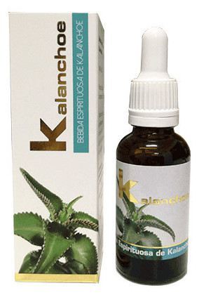 Kalanchoe 30 ml