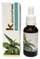 Kalanchoe 30 ml