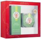 Feuille Figuier set 2 pcs