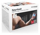 &Epsilon;&kappa;&pi;&alpha;ί&delta;&epsilon;&upsilon;&sigma;&eta; Spyrball Gyro Ball
