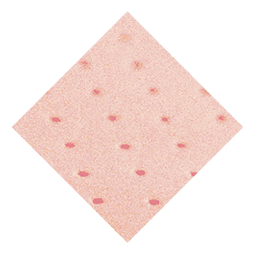 &Kappa;&rho;έ&alpha;&sigmaf; Plastazote &Delta;&iota;ά&tau;&rho;&eta;&tau;&omicron; 1x1 3 mm