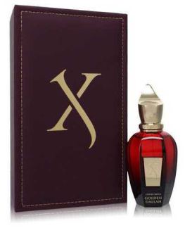 Coffee Break Golden dallah Eau de Parfum spray 50 ml