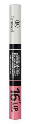 Lipstick 2 in 1 Color 16 Hours 4.8 gr