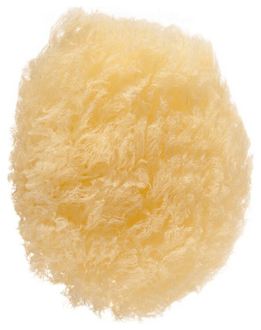 Cleansing Facial Sponge
