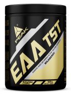 EAA Technology TS 500 gr