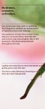 Rose Water Balancing Mist 100 ml