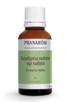 Eucalyptus Radiata Essential Oil