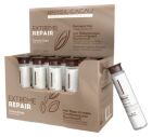Extreme Repair 10 Ampoules